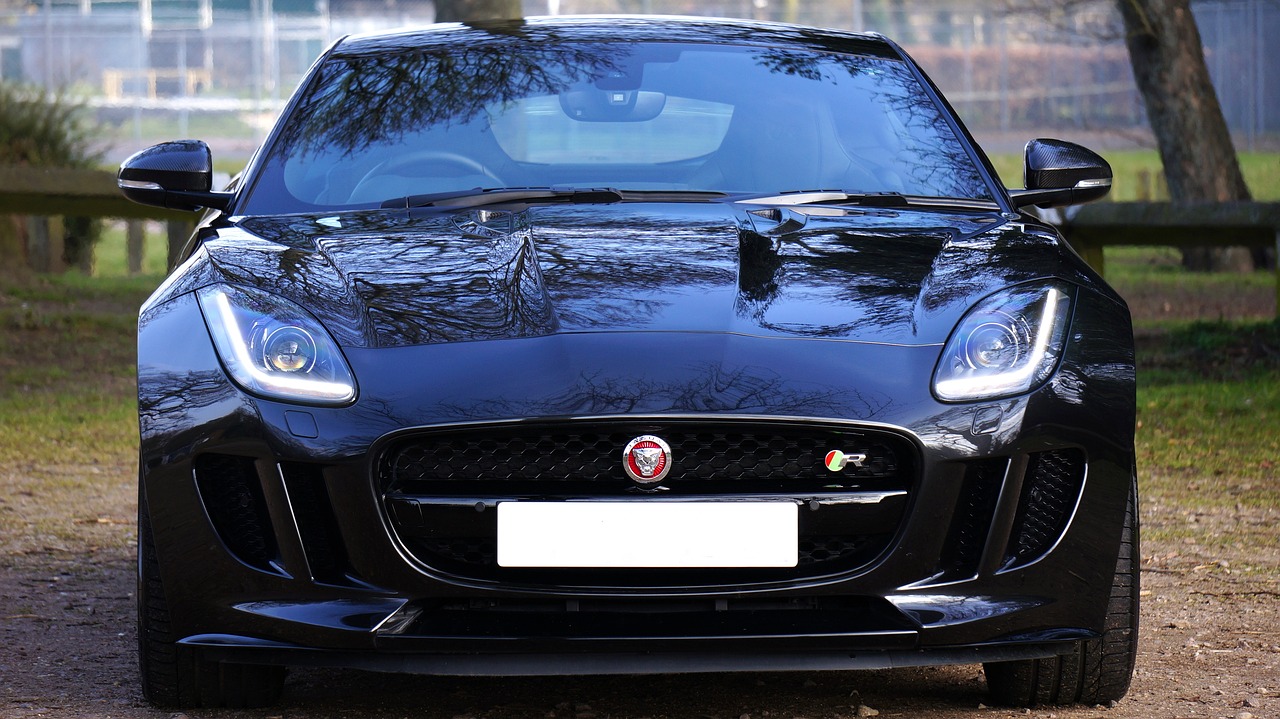 jaguar-1256559_1280.jpg