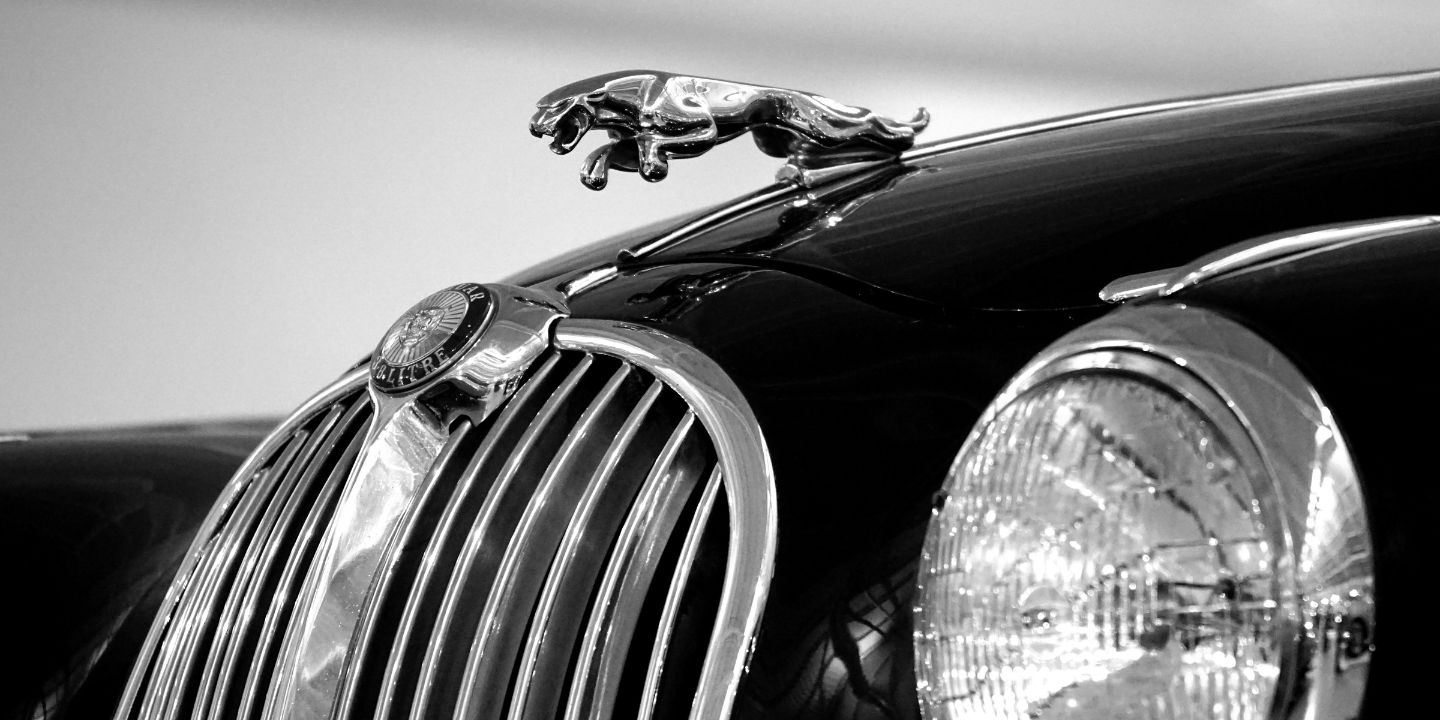 Jaguar